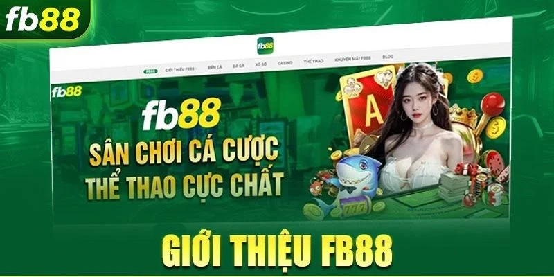 FB88 - Khám phá địa chỉ giải trí hàng đầu hiện nay