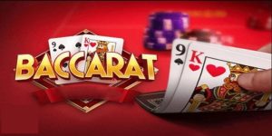 Tool Dự Đoán Baccarat - Công Cụ Giúp Tăng Tỷ Lệ Chiến Thắng