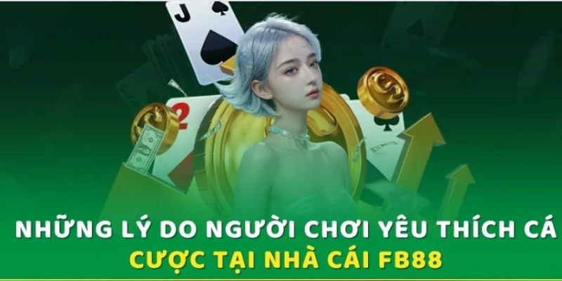 FAQ - Câu hỏi thường gặp từ cộng đồng game thủ FB88